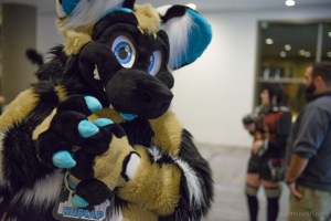 Anthro Northwest 3 (2019)