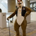 Anthro Northwest 4 (2021)