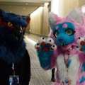 Anthro Northwest 4 (2021)