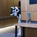 Anthro Northwest 4 (2021)