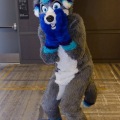Anthro Northwest 4 (2021)
