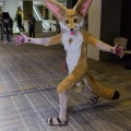 Anthro Northwest 4 (2021)