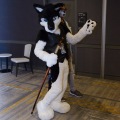 Anthro Northwest 4 (2021)