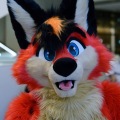 Anthro Northwest 4 (2021)