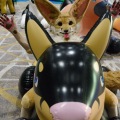 Anthro Northwest 4 (2021)