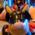 Anthro Northwest 4 (2021)