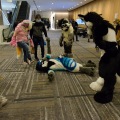 Anthro Northwest 4 (2021)