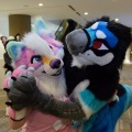 Anthro Northwest 4 (2021)