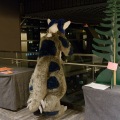 Anthro Northwest 4 (2021)