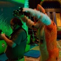 Anthro Northwest 4 (2021)