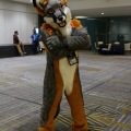 Anthro Northwest 4 (2021)