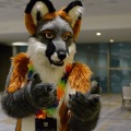 Anthro Northwest 4 (2021)