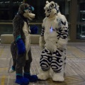 Anthro Northwest 4 (2021)