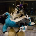 Anthro Northwest 4 (2021)