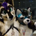 Anthro Northwest 4 (2021)