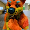 Anthro Northwest 4 (2021)