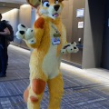 Anthro Northwest 4 (2021)