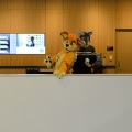 Anthro Northwest 4 (2021)