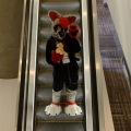 Anthro Northwest 4 (2021)