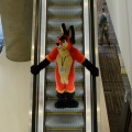 Anthro Northwest 4 (2021)