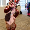Anthro Northwest 4 (2021)