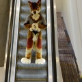 Anthro Northwest 4 (2021)