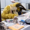 Anthro Northwest 4 (2021)