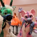 Anthro Northwest 4 (2021)