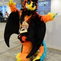 Anthro Northwest 4 (2021)