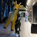 Anthro Northwest 4 (2021)