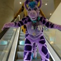 Anthro Northwest 4 (2021)