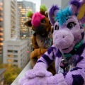 Anthro Northwest 4 (2021)