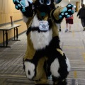 Anthro Northwest 4 (2021)