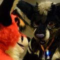 Anthro Northwest 4 (2021)