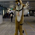 Anthro Northwest 4 (2021)