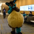Anthro Northwest 4 (2021)