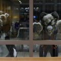 Anthro Northwest 4 (2021)
