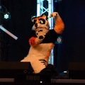 Anthro Northwest 4 (2021)