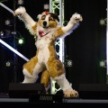 Anthro Northwest 4 (2021)