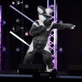 Anthro Northwest 4 (2021)