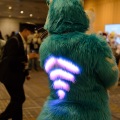 Anthro Northwest 4 (2021)