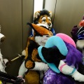 Anthro Northwest 4 (2021)