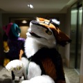 Anthro Northwest 4 (2021)