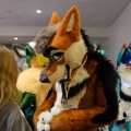 Anthro Northwest 4 (2021)