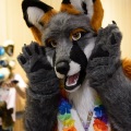 Anthro Northwest 4 (2021)
