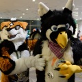 Anthro Northwest 4 (2021)