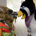 Anthro Northwest 4 (2021)