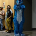 Anthro Northwest 4 (2021)