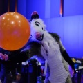 Anthro Northwest 4 (2021)
