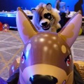 Anthro Northwest 4 (2021)